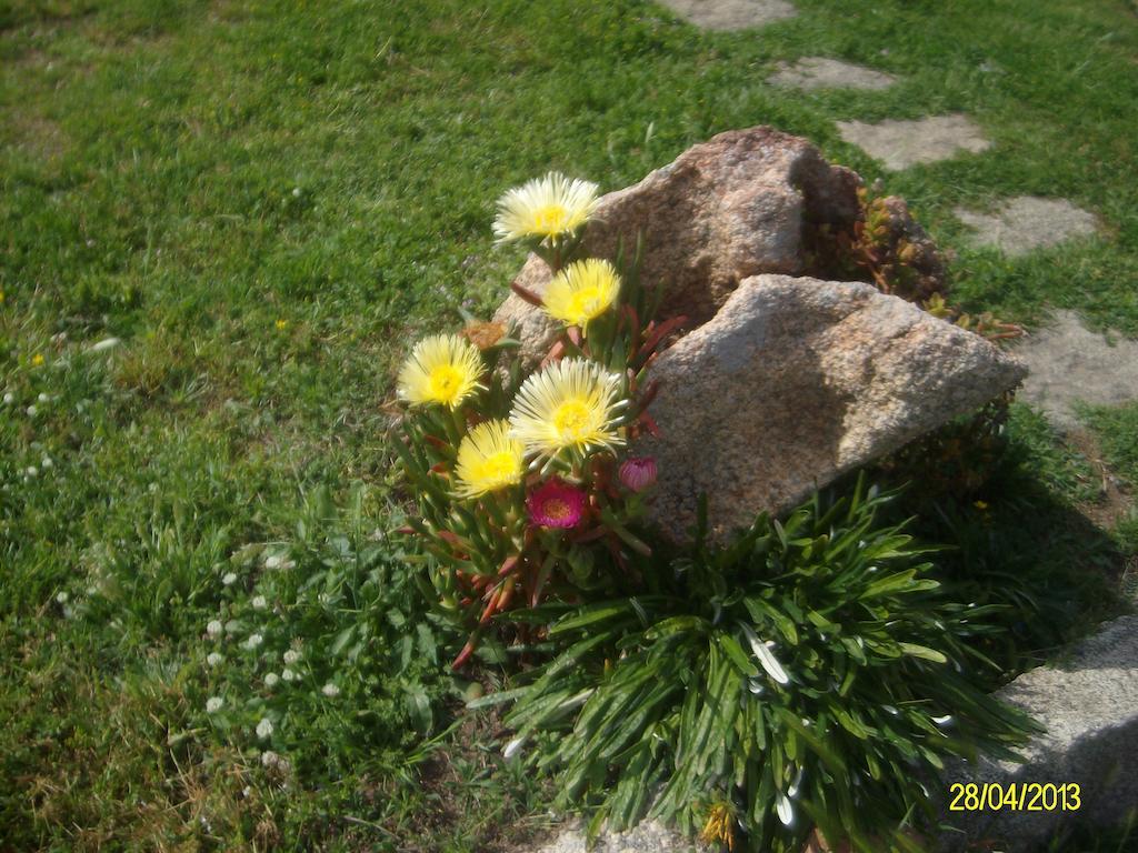 Bed and Breakfast Agriturismo Spridda Arzachena Exterior foto