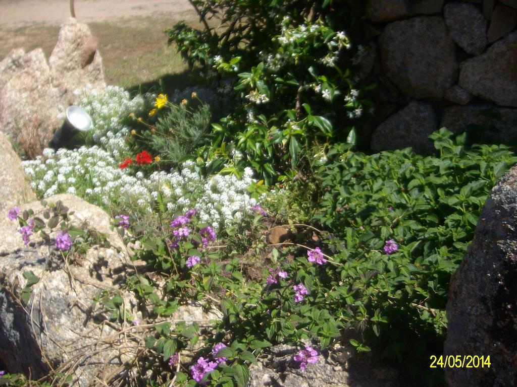 Bed and Breakfast Agriturismo Spridda Arzachena Exterior foto