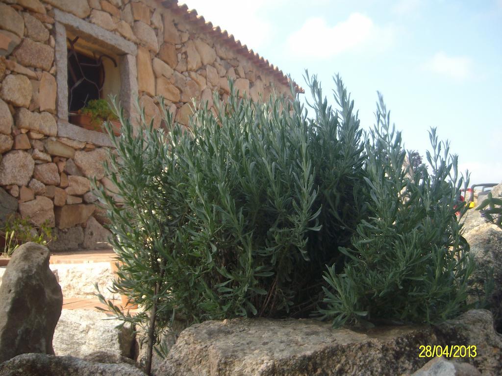 Bed and Breakfast Agriturismo Spridda Arzachena Exterior foto